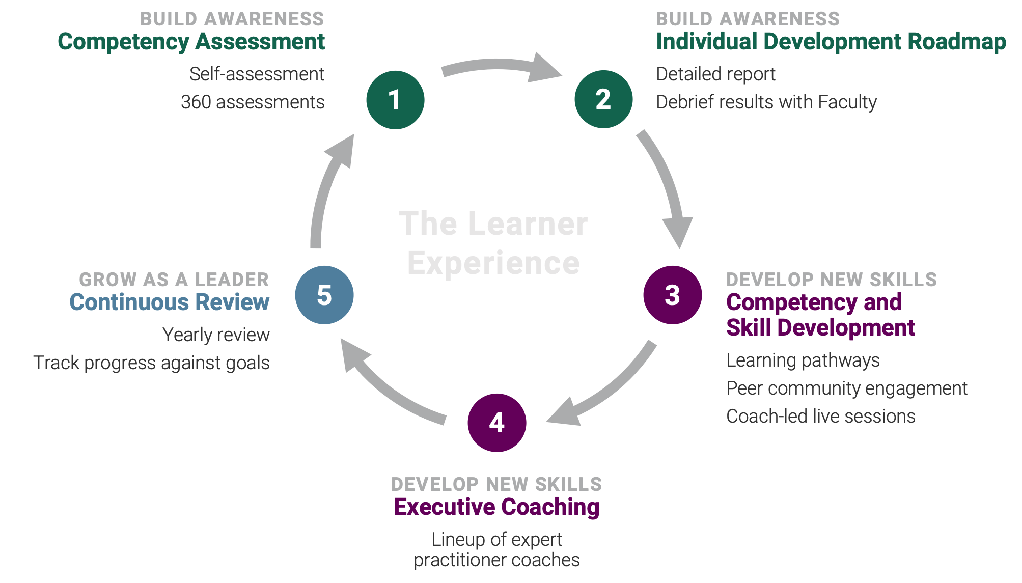 Executive Competencies Learner Experience Chart