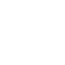 expert_icon