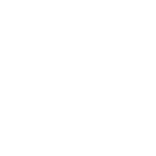 expert_icon