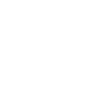 expert_icon