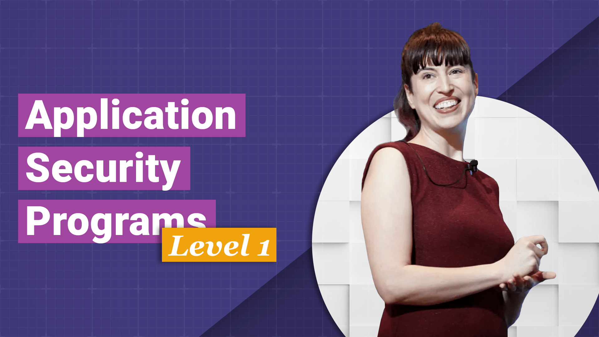 Application Security Program: Level 1